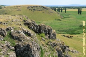 Пейзаж с повозкой, вид с вершины толтровой гряды