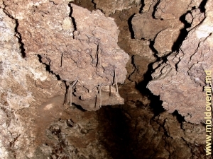 Сталактиты из глины на сводах и стенах пещеры