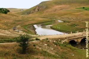Valea r. Ciuhur şi toltrele de lîngă s. Horodişte, raionul Rîşcani