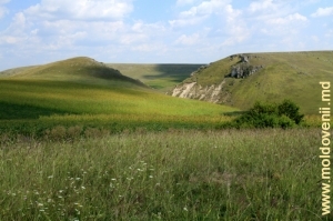 Defileurile pitoreşti din valea r. Lopatnic în apropiere de s. Caracuşenii Vechi