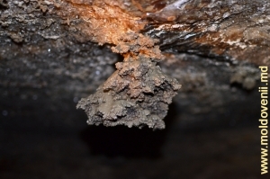 Глинистые отложения на сводах пещеры с примесью гидрооксидов марганца и железа
