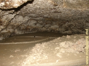 Глины пещеры, окрашенные окислами железа (желто-красные) и марганца (серо-черные)
