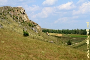 Panta stîncii de toltre deasupra rîului Lopatnic între satele Corjeuţi şi Caracuşenii Vechi