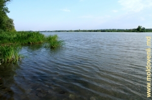 Gura rîului Nistru, regiunea Odessa, Ucraina