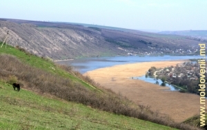 Meandrul Nistrului de lîngă satul Ţipova, Rezina, aprilie 2013.