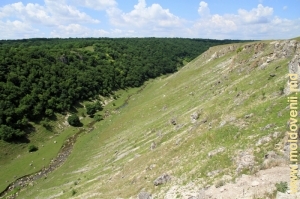 Rezervaţia „La Castel” din valea rîului Racovăţ, raionul Edineţ