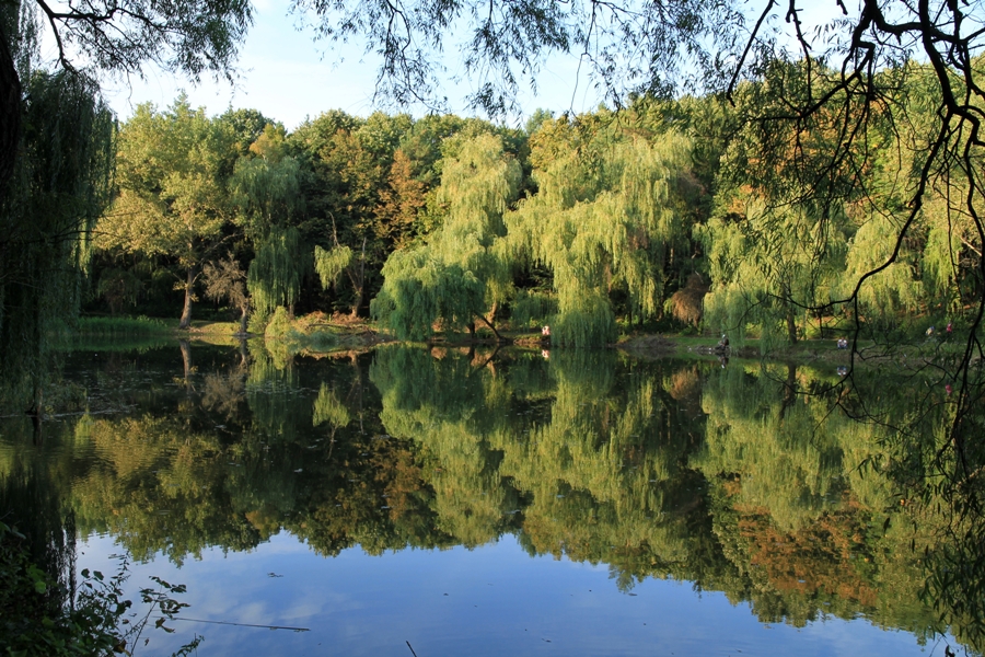 Озеро осенью в Единецком городском парке