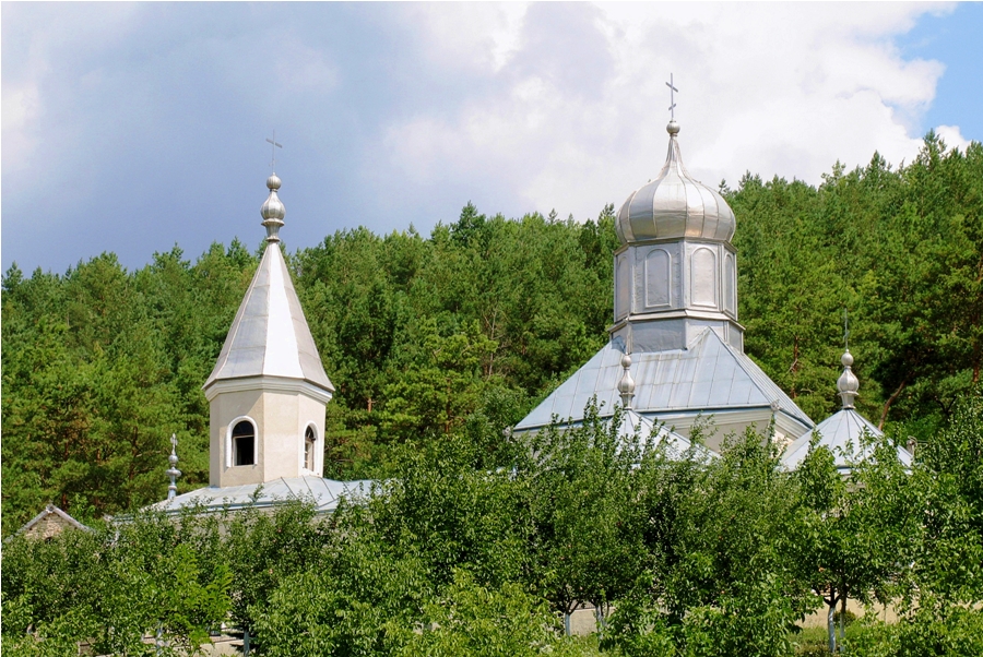 Купола Косэуцкого монастыря, ближний план