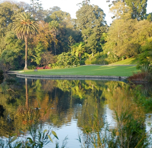Королевский ботанический сад в Кренбурне, Австралия