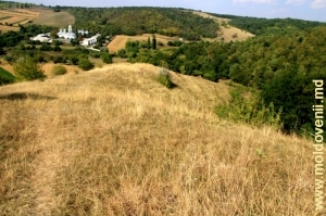 Вид на монастырь Добруша, ущелье и заповедный лес
