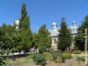 Двор монастыря Добруша, Шолдэнешть