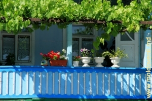 Balconul casei ţărăneşti din satul Coşerniţa