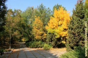 Городской парк в Дондюшенах, октябрь