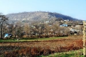 Vedere spre satul Climăuţii de Jos