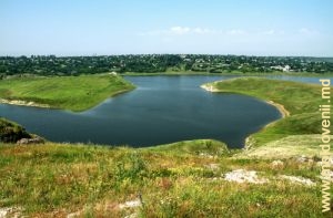 Brațul Ciuhurului lacului de acumulare în preajma satului Văratic, iunie 2014