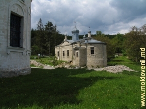 Biserica veche de iarnă a Mănăstirii Condriţa, plan îndepărtat