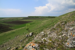 Вид на поля с. Буздуджень со склона ущелья