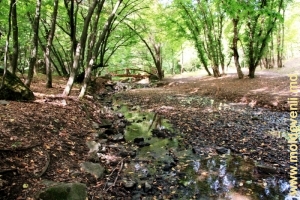 Пересохшая речка Драгиште (2012) в нижней части заповедника и мостик над ней вдали