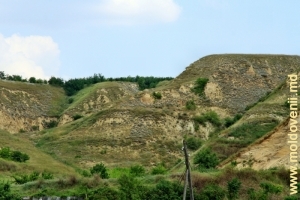 Malul vechi al Prutului lîngă satul Cîşliţa-Prut