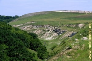 Вид на толтровую гряду урочища со склона долины Раковца. Видна выемка в скале на переферии карьера