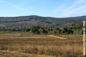 Вид на станцию Бахмут, Кэлэраш и заповедный лес. Октябрь