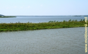 Vedere spre lacul Manta de lîngă satul Crihana Veche, raionul Cahul