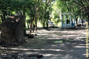 Центральный пруд парка