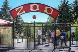 Intrarea la Grădina Zoologică din Chișinău va fi gratuită: Aflați cînd