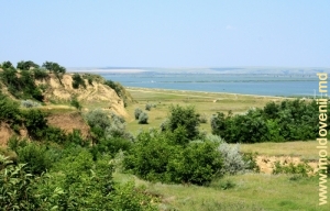 Malul lacului Rotunda de lîngă satul Manta, raionul Cahul