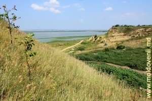 Malurile abrupte ale lacului Rotunda de lîngă satul Manta, raionul Cahul
