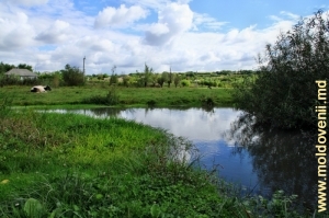 Rîul Ciuhur, satul Bîrlădeni