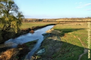 Река бык у села Калфа
