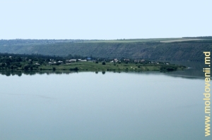 Lacul de acumulare şi marginea satului Molovata Nouă (malul stîng)