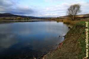 Valea rîului Bîc şi lacul de acumulare de lîngă satul Peticeni