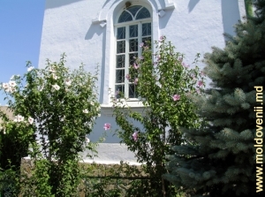 Arbori de lalea lîngă pereţii bisericii de vară 