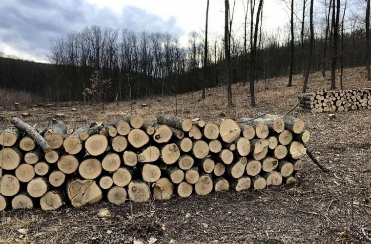 Consumatorii noncasnici vor putea procura pînă la 200 de metri steri de lemn de foc