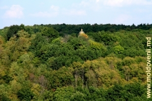 Cupola schitului în masivul forestier în apropierea Mănăstirii Dobrușa, Șoldănești
