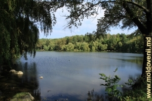 Одно из 3-х озер в городском парке г. Единцы