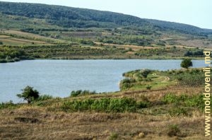 Lacul de acumulare de pe rîul Lăpușna în apropierea satului Iurceni, Nisporeni
