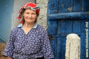 O ţărancă din satul Codru, Teleneşti