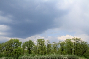 Peisaj de primăvară în apropierea satului Buzdugeni, Edineţ