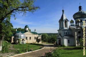 Mănăstirea Condriţa, vara 2011 