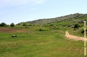 Peisajele şi drumurile din apropierea satului Drujineni