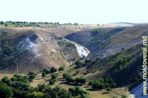 Извилистое ущелье в долине Реута за селом Требужень, вид на северо-восток