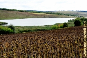 Lacul de acumulare de pe rîul Ciuhur între satele Ruseni şi Goleni, Edineţ