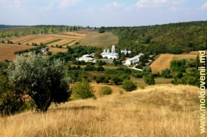 Вид на монастырь Добруша и его окрестности с вершины горы «Голгофа», средний план