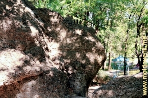 Скала с каскадным водопадом на вершине Восточного холма в центре парка