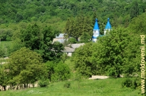 Вид на монастырь Циганешть 