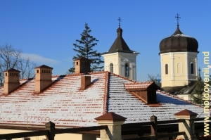 Mănăstirea Căpriana iarna