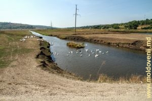 Rîul Lăpușna la marginea satului Bălceana, Hîncești